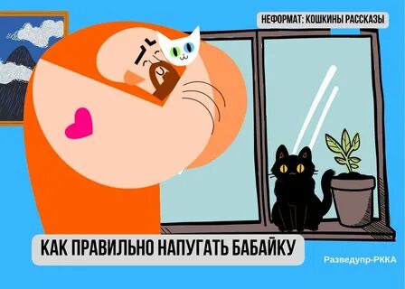 Правда и котики