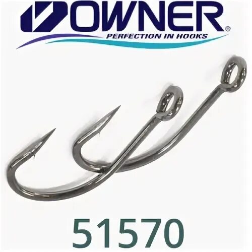 Owner type