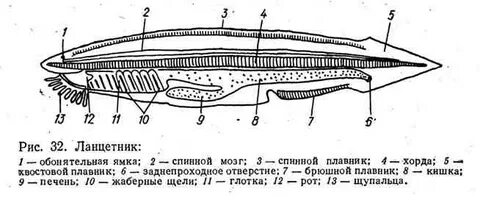 Ленинградский строение