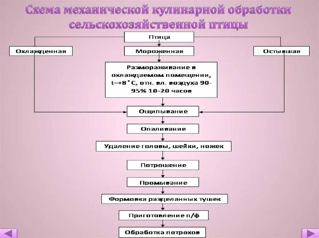 Этапы механической обработки замороженной птицы. Технологическая схема производства полуфабрикатов из мяса птицы. Технологическая схема производства мелкокусковых полуфабрикатов. Технологическая схема производства крупнокусковых полуфабрикатов. Технологическая схема производства порционных полуфабрикатов.