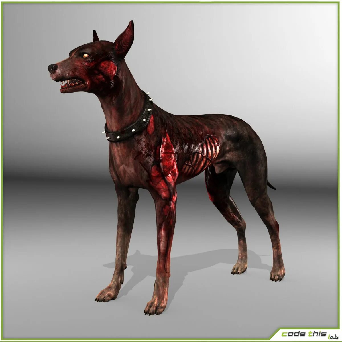 3DRT - Zombie dogs Dog zombie, Zombie, Zombie art