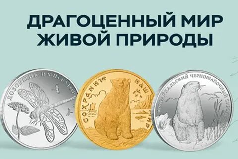 Благородный мир