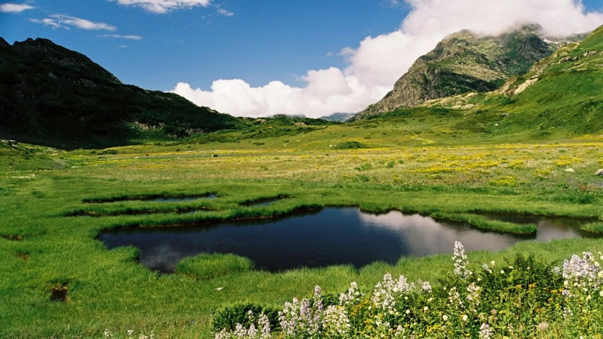 Кавказский биосферный заповедник адыгея. Биосферный заповедник это. Западный кавказ заповедник. Большой алтай биосферный резерват. Кавказский биосферный заповедник адыгея.