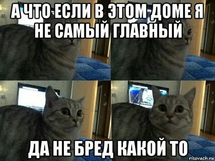 Да я не это хотела спросить