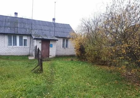 Авито пыталово