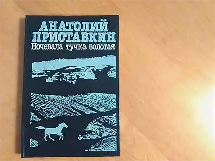 Слушать аудиокниги приставкина ночевала тучка золотая. Приставкина в 20 веке. Слушать аудиокниги приставкина ночевала тучка золотая. Приставкин ночевала тучка. Ночевала тучка золотая приставкин.