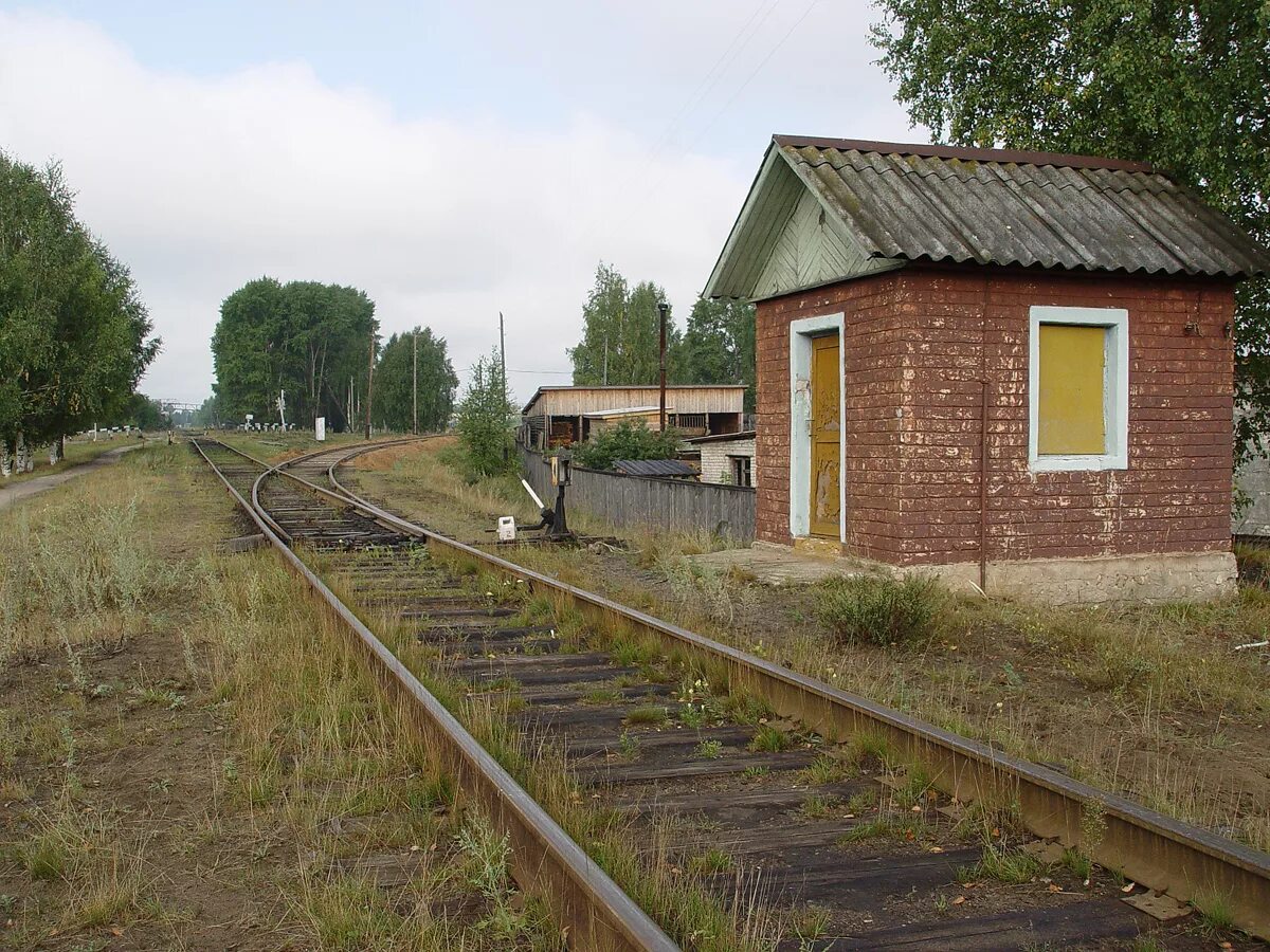 Сява шахунский район нижегородская область. Поселок Сява Нижегородской области. Посёлок Сява в Шахунском районе Нижегородской области. Станция Сява. Железная дорога Вахтан Сява.