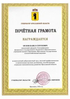 Почетная грамота губернатора