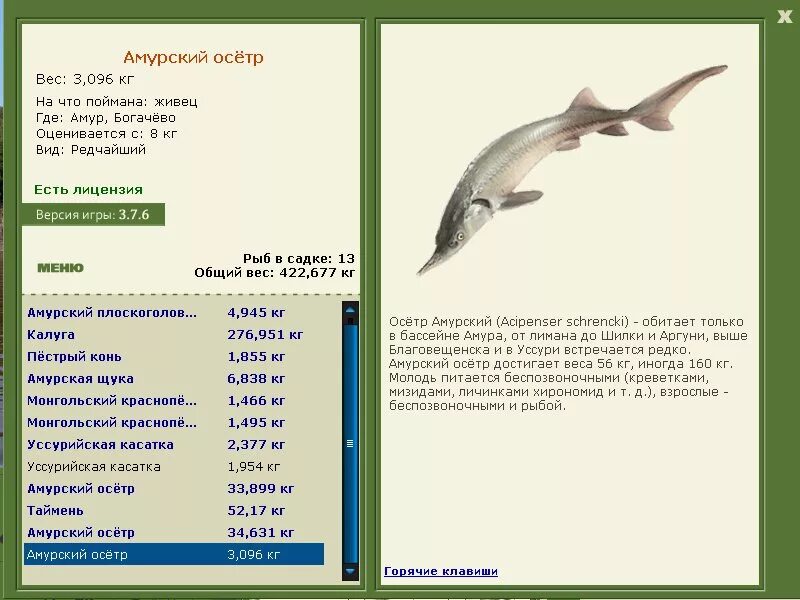 рыба черный лещ. черный лещ реальная рыбалка. пескарь размеры. амурский осетр. реальная рыбалка фарм денег.