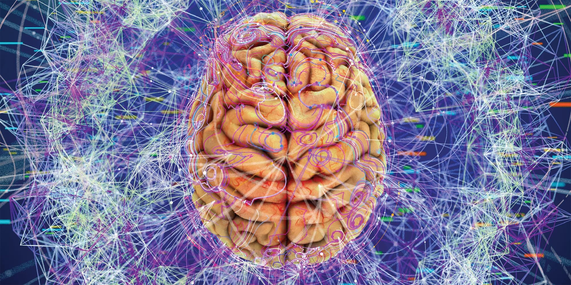Мозг передается. Исследование нейронных связей головного мозга. Связь тела и мозга. Экология головного мозга. Головной мозг нанотехнологии.