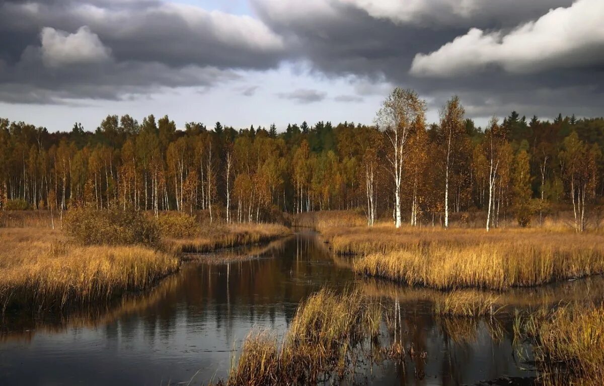 Пейзажи средней полосы России. Осень в России. Осенний пейзаж. Поздняя осень в России. Река пасмурная