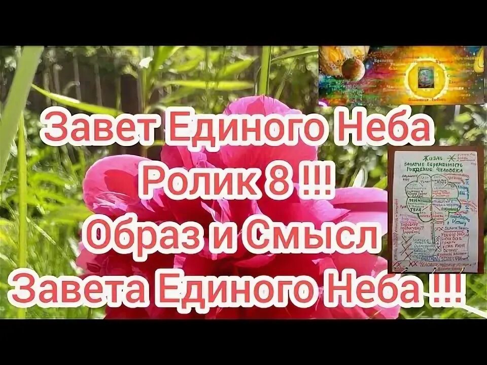 Единый завет. Завет единого неба. Завет единого неба текст читать. Закон единого неба. Книга завет единого неба.