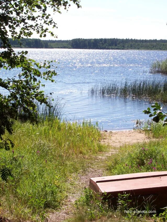 Озеро велино псковская область. Озеро велино псковская область. Озеро велино псковская область. Озеро ямм псковская область. Бездонное озеро шатура.