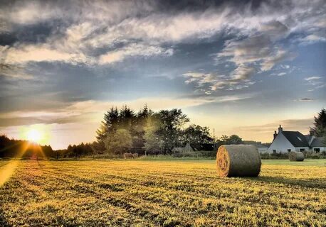 Large land