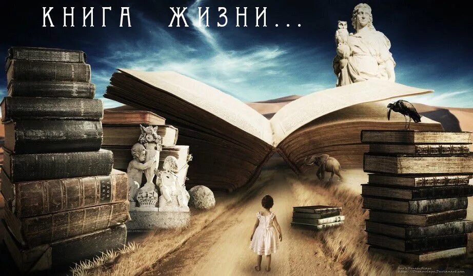 Жизненная книга читать