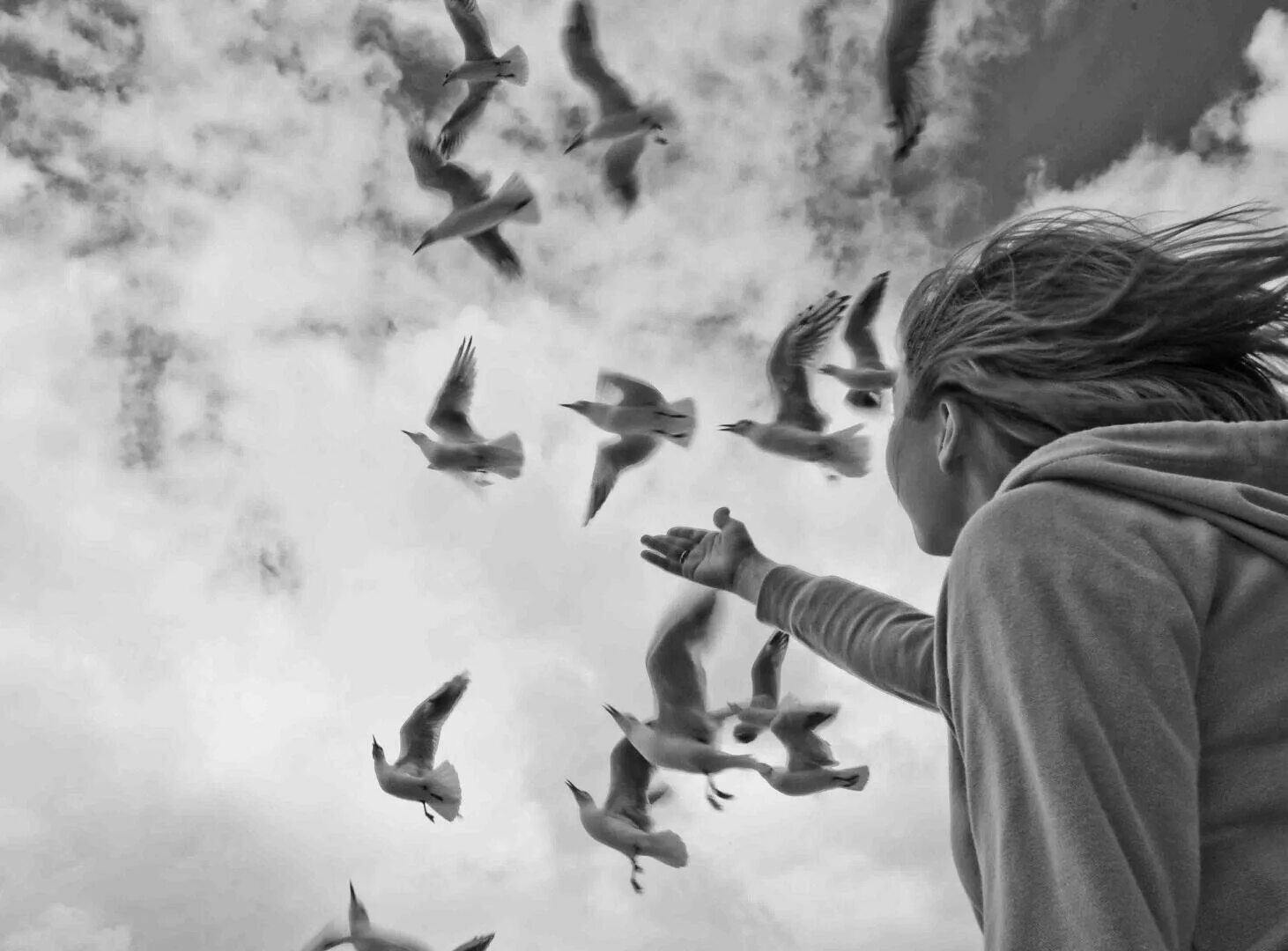 Старые обиды давние. Одинокие птицы. Девушка птица в небе. Птица свободы. Птицы разлетаются.