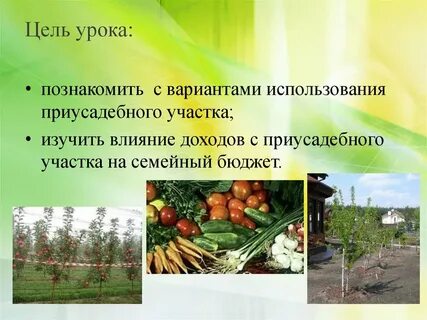Что значит приусадебный участок личного подсобного хозяйства
