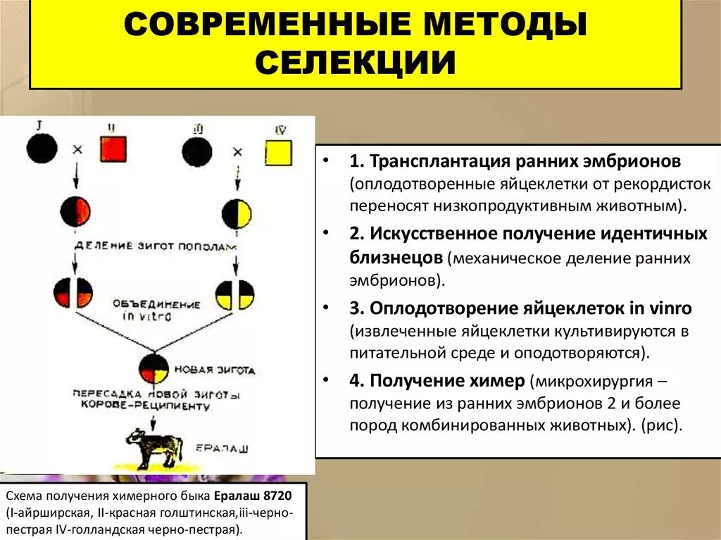 Биология метод селекции таблица. Современные методы селекции. Основные методы селекции. Селекция методы современной селекции.