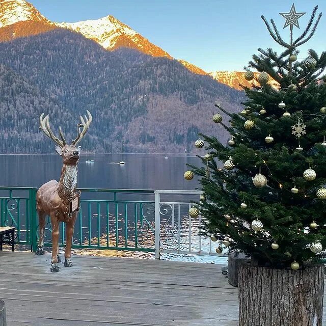символ нового года в абхазии