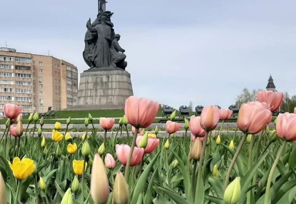 Липецк памятник Петру тюльпаны. Тюльпан Сургут кооператив. Тюльпаны Сургут. Тюльпаны на памятник.