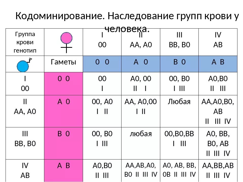 Наследование группы крови системы ав0 у человека таблица. Схема наследования групп крови и резус. Наследование групп крови системы аb0. Группы крови таблица наследования генетика. Отрицательный резус фактор наследуется