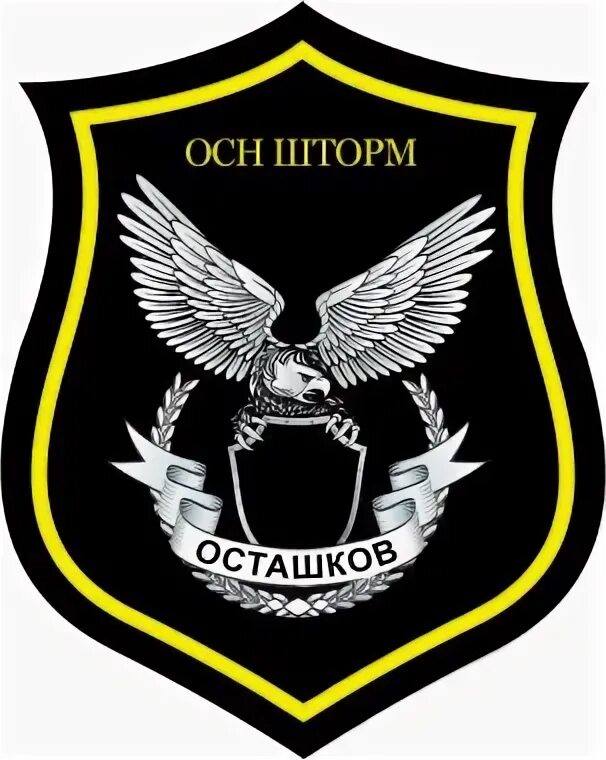 Отряд специального назначения шторм. Осн шторм. шевроны отряда специального назначения шторм россия. боец отряда специального назначения шторм.