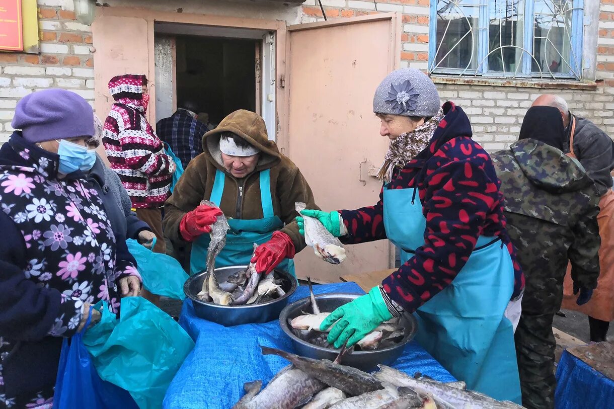 благотворительная помощь взрослым. благотворительный фонд. фонд помощь взрослым. фонд живой. благотворительность людям.