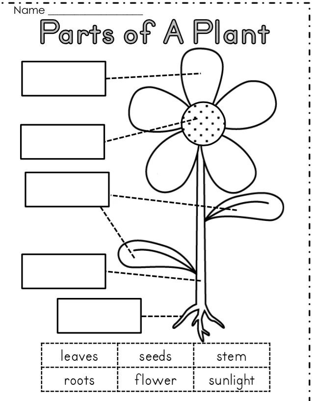 Flower exercise