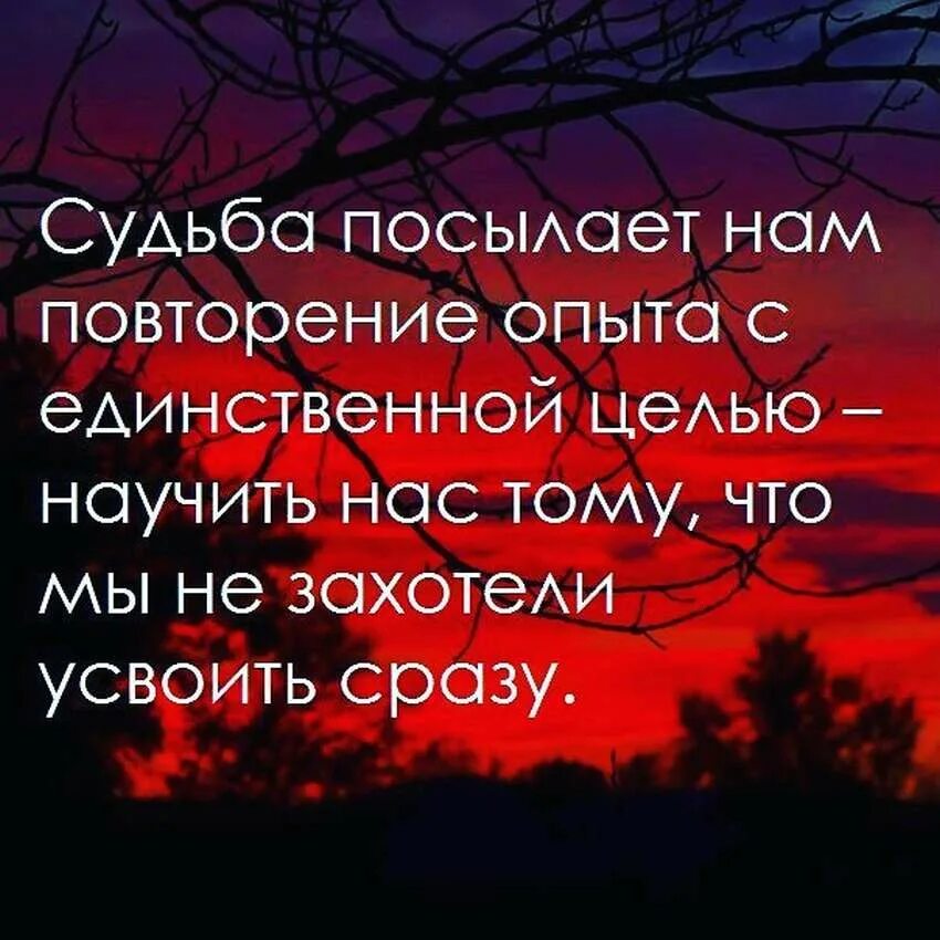 Эзотерика цитаты. Умные мысли об эзотерике. Красивые афоризмы о жизни и судьбе. Цитаты про судьбу. Повторяющиеся судьбы