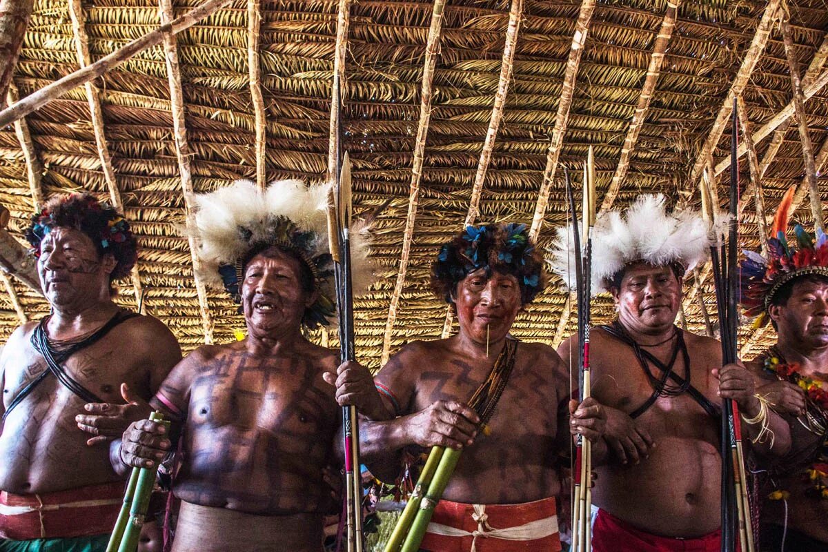 Синта Ларга племя. Племя синта Ларга в Бразилии. Племена мсм