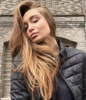 Кошкина телеграм