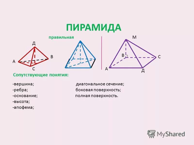 к многогранникам относятся призма пирамида