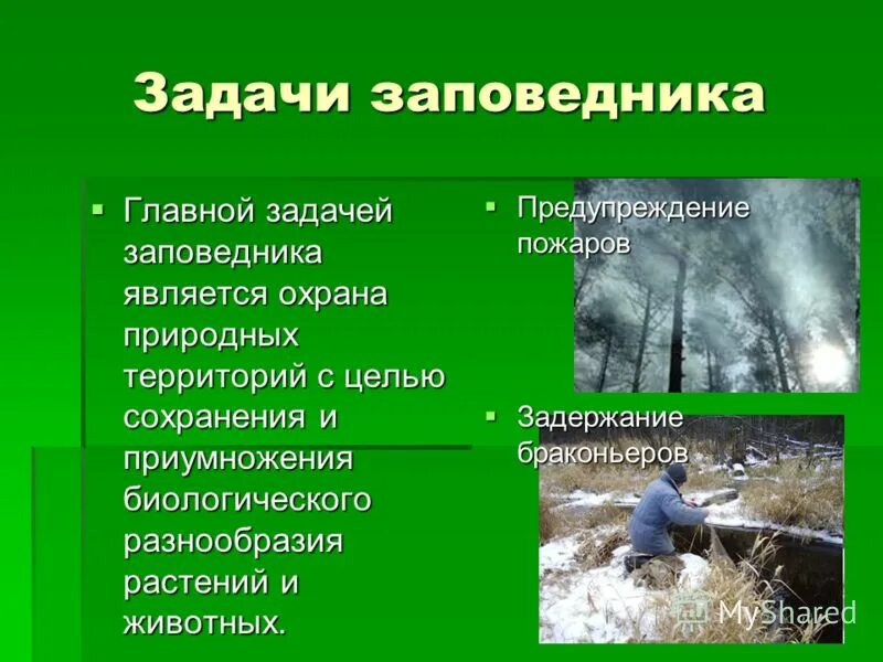 2 класс заповедники значение для охраны природы. 2 класс заповедники значение для охраны природы. Доклад на тему заповедники. Проект заповедники россии. 2 класс заповедники значение для охраны природы.