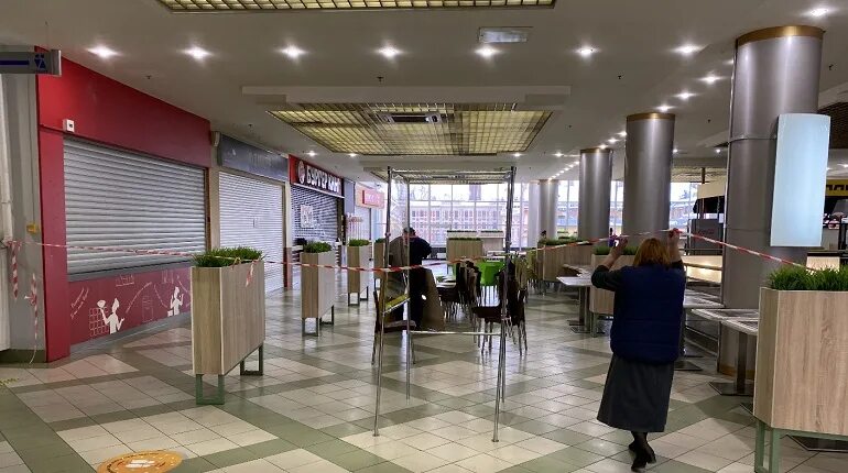 Работа пушкина глобус