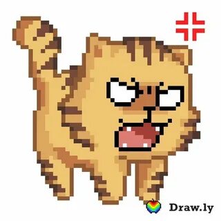 Кошка бит