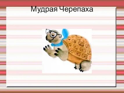 Мудрая черепаха окружающий