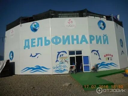 Дельфинарий в новороссийске