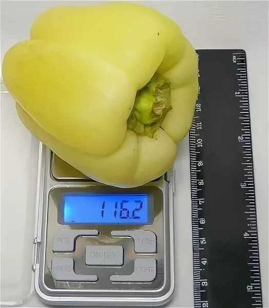 перец в граммах. вес молотого перца в чайной ложке. перец острый свежий. перец вес 1 шт. 100 грамм фаршированного перца.