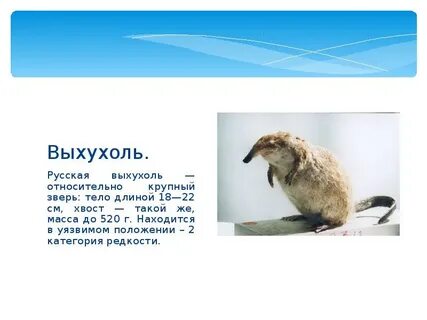 Томская красная книга