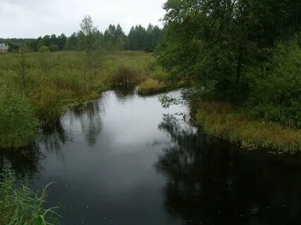 Река созь