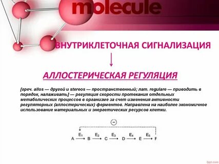 Аллостерическая регуляция