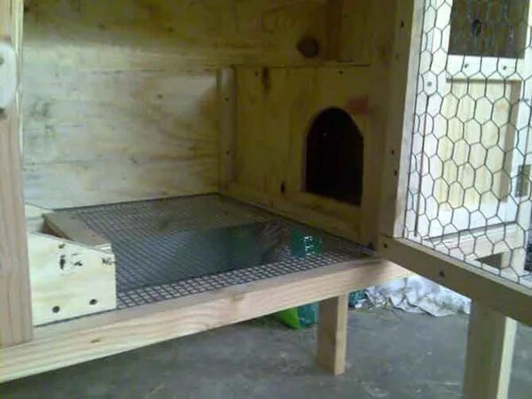 как сделать клетку с маточником