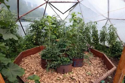 Круглая теплица своими руками