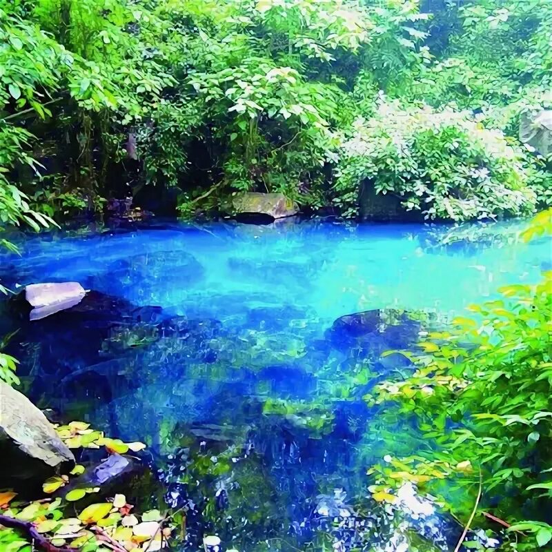 Situs biru. Situs biru. Situs biru. Situs biru. Situs biru.