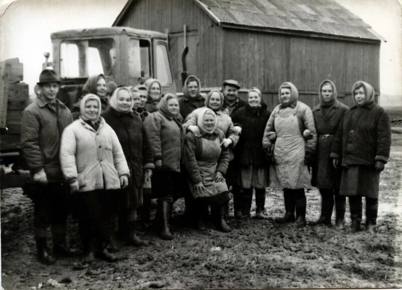 Вид на пруд деревни Шипилово из окна дома 11 - Retro photos