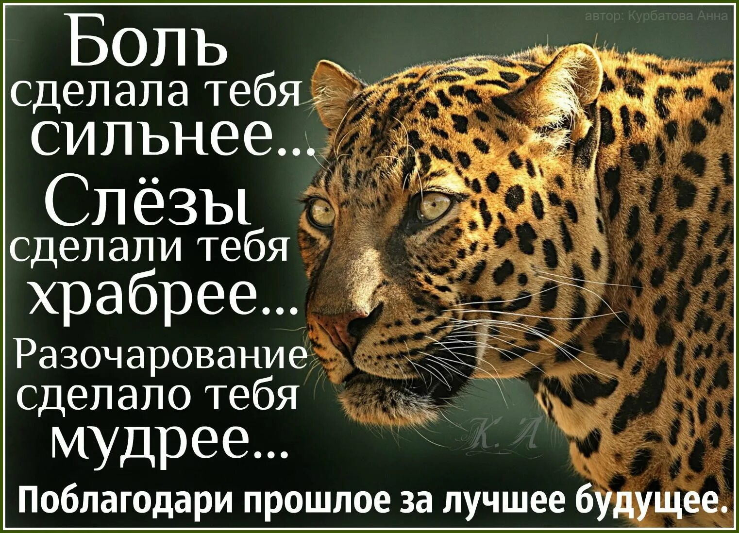 Будь самым мудрым