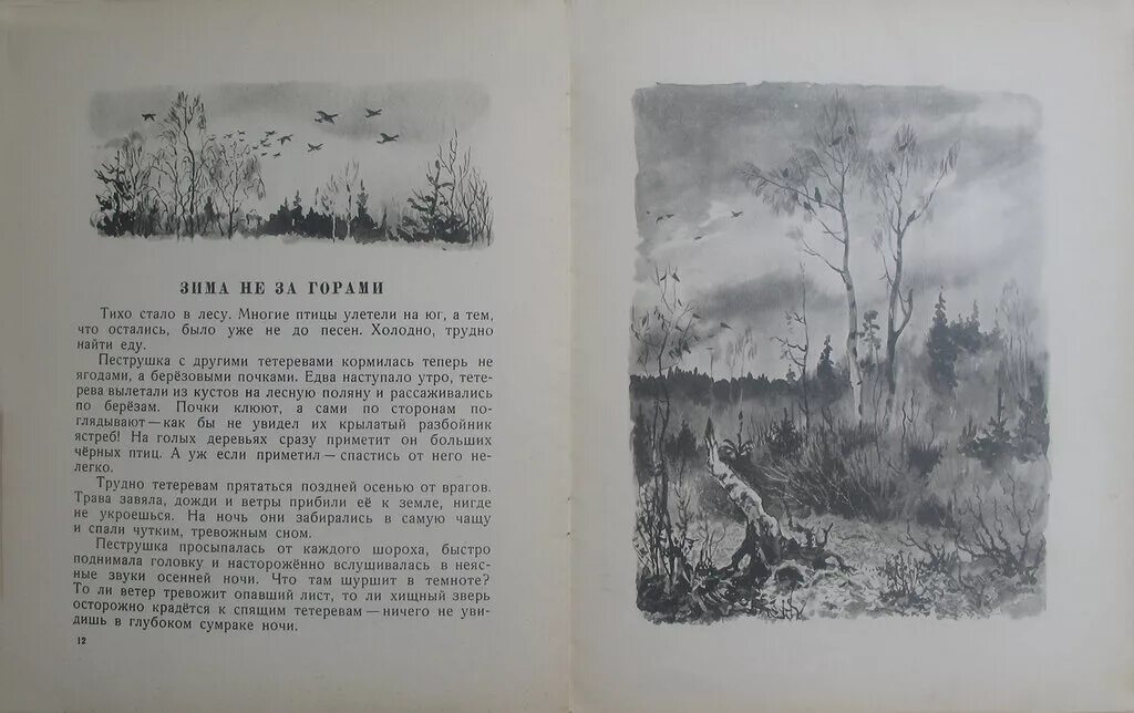 Скребицкий весенняя песня читательский дневник. Г Скребицкий на Лесной полянке.