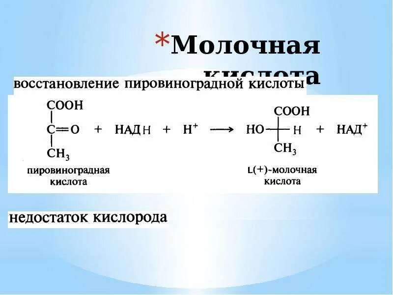 Кислоты восстанавливаются до. Реакция восстановления пировиноградной кислоты. Восстановления пировиноградной кислоты в молочную кислоту. Молочная кислота восстановление ПВК. Схема реакции восстановления пировиноградной кислоты.