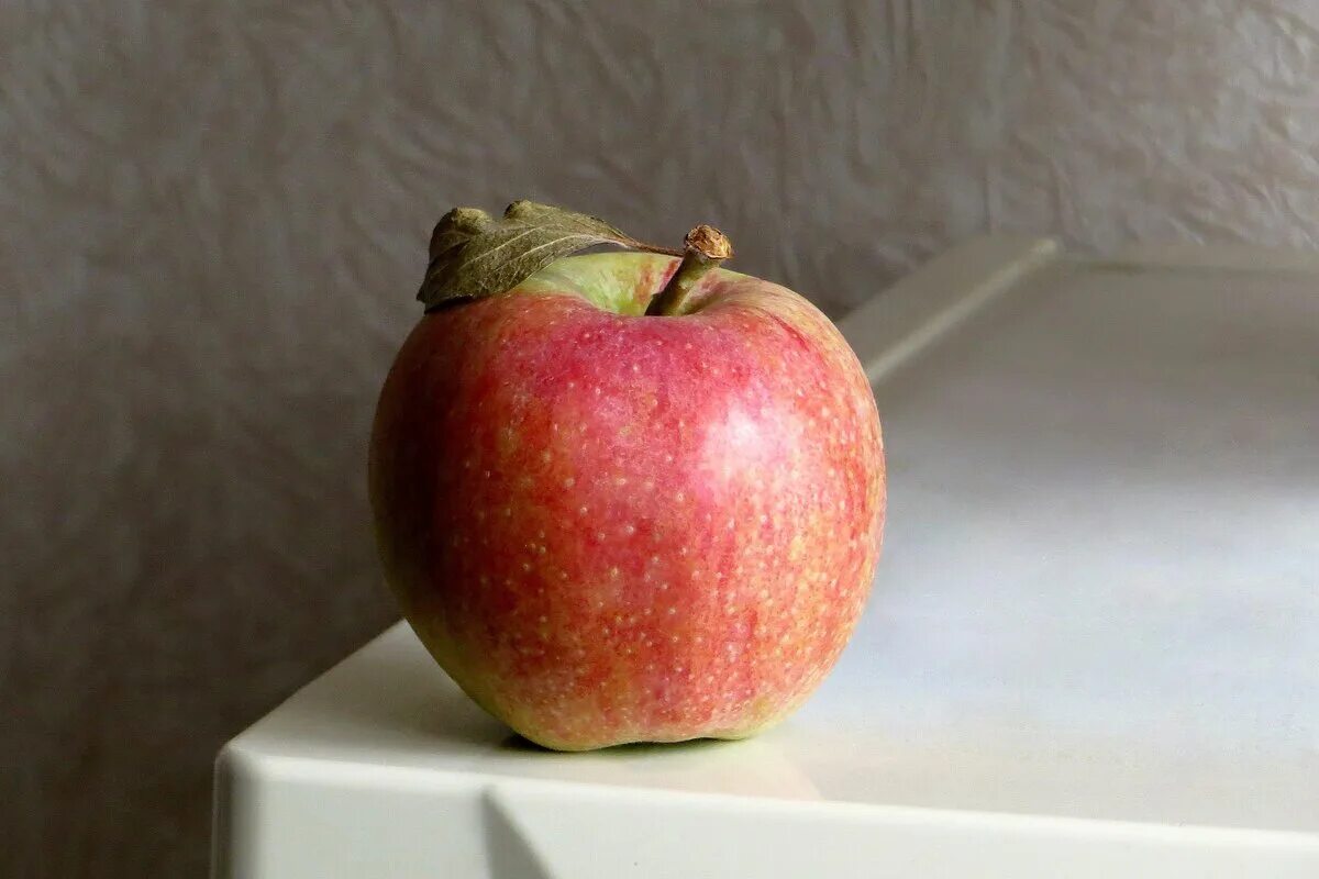 1 2 яблоко. Натюрморт с яблоками. Яблоко на столе. Натюрморт яблоки на столе. Яблоко постановка.
