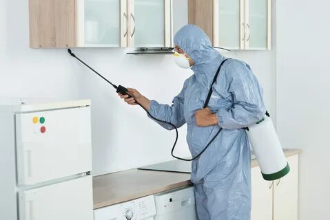 Дезинфекция квартиры после больного